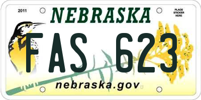 NE license plate FAS623