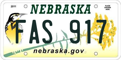 NE license plate FAS917
