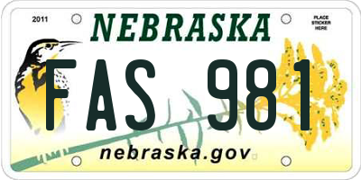 NE license plate FAS981