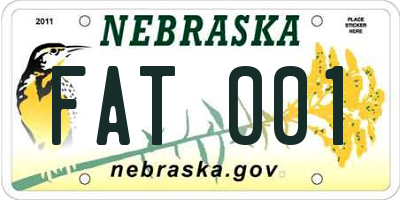NE license plate FAT001