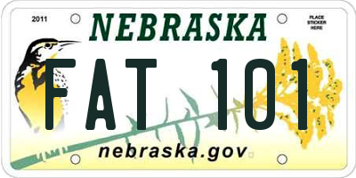NE license plate FAT101