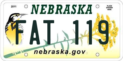 NE license plate FAT119