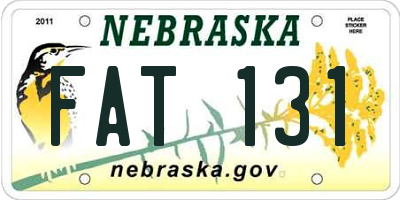 NE license plate FAT131