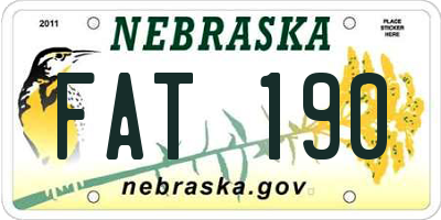 NE license plate FAT190