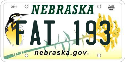 NE license plate FAT193