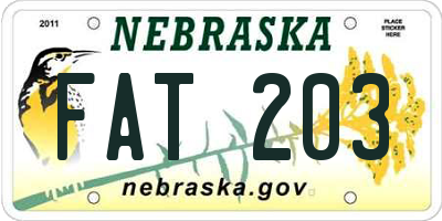 NE license plate FAT203