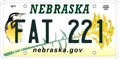 NE license plate FAT221