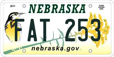 NE license plate FAT253