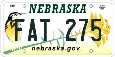 NE license plate FAT275