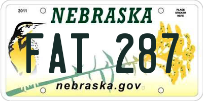 NE license plate FAT287