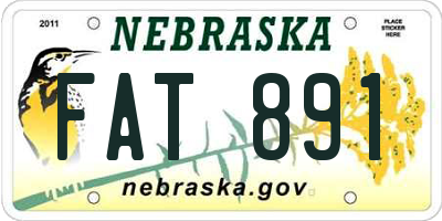 NE license plate FAT891