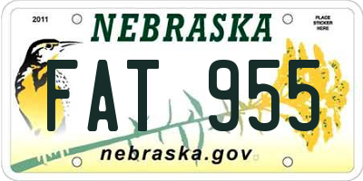 NE license plate FAT955