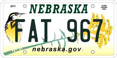 NE license plate FAT967