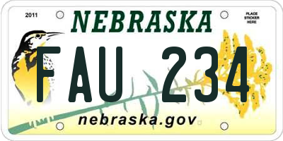NE license plate FAU234