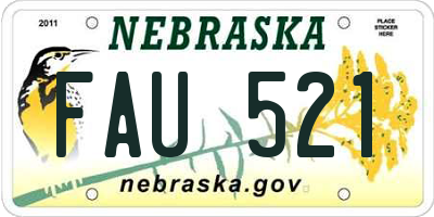 NE license plate FAU521