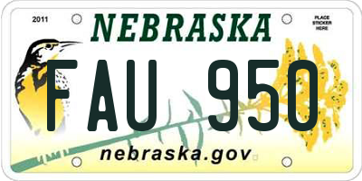 NE license plate FAU950