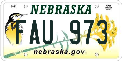 NE license plate FAU973