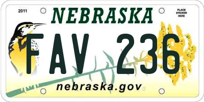 NE license plate FAV236