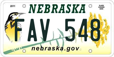 NE license plate FAV548