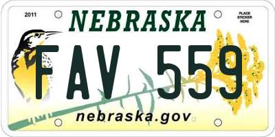 NE license plate FAV559
