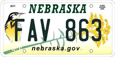 NE license plate FAV863
