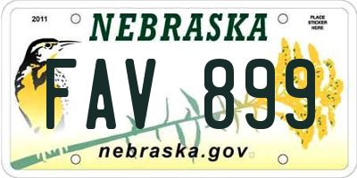 NE license plate FAV899