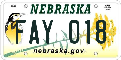 NE license plate FAY018