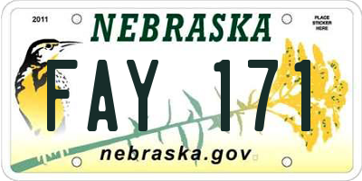 NE license plate FAY171