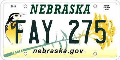 NE license plate FAY275