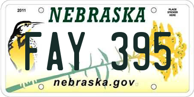 NE license plate FAY395
