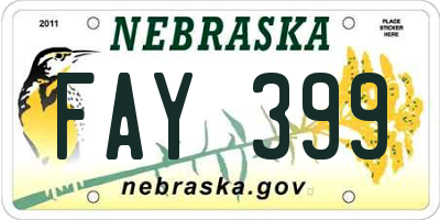 NE license plate FAY399