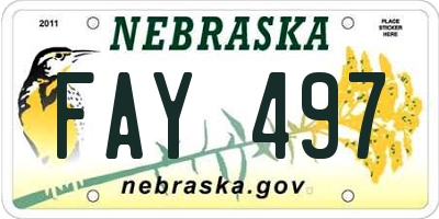 NE license plate FAY497