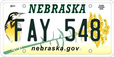 NE license plate FAY548