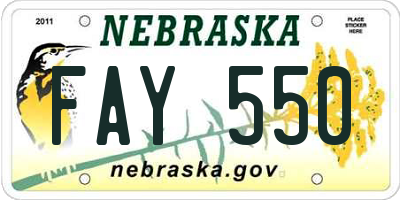 NE license plate FAY550