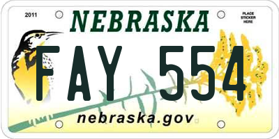 NE license plate FAY554