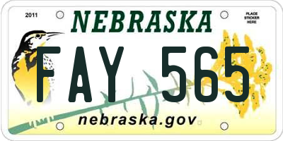 NE license plate FAY565