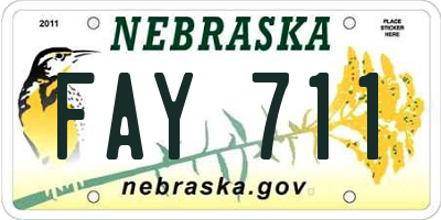 NE license plate FAY711