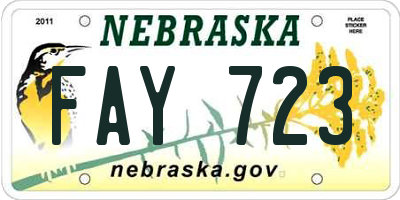 NE license plate FAY723