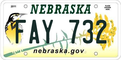 NE license plate FAY732