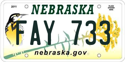 NE license plate FAY733