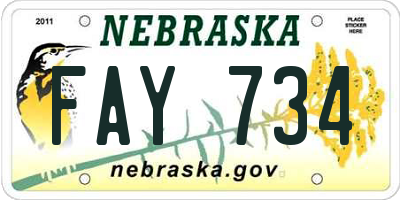 NE license plate FAY734