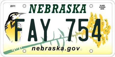 NE license plate FAY754