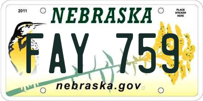 NE license plate FAY759
