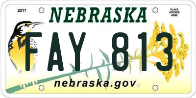 NE license plate FAY813