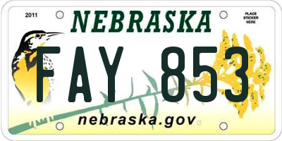 NE license plate FAY853