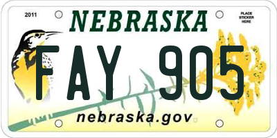 NE license plate FAY905