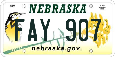 NE license plate FAY907