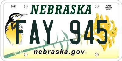 NE license plate FAY945