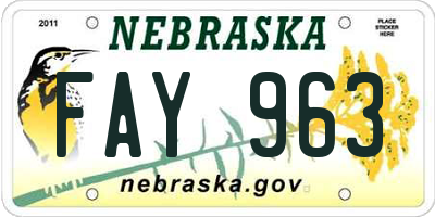 NE license plate FAY963