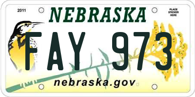 NE license plate FAY973